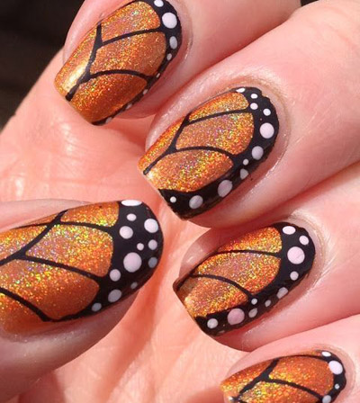 butterfly-8