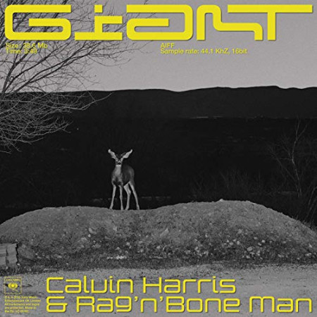 Calvin Harris & Rag'n'Bone Man